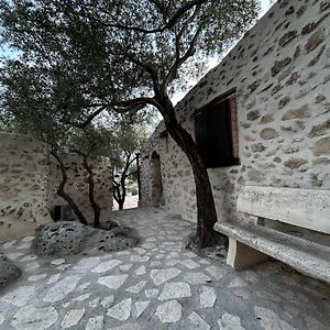 Roba Degli Ulivi